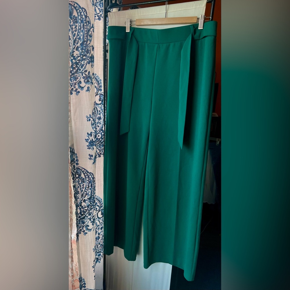 Green Polyester Pant - image 1